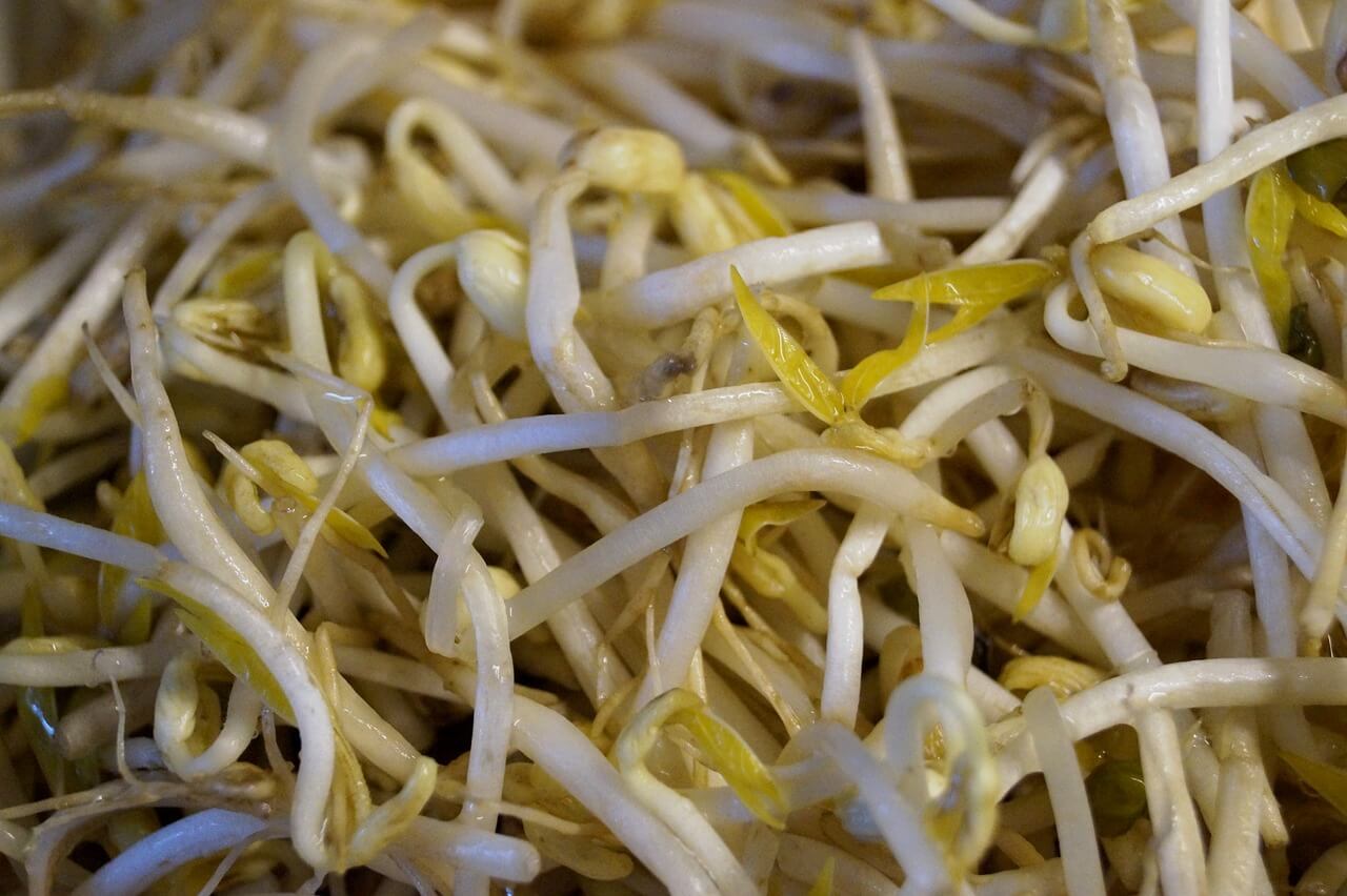 can-you-eat-bean-sprouts-raw-livestrong-com