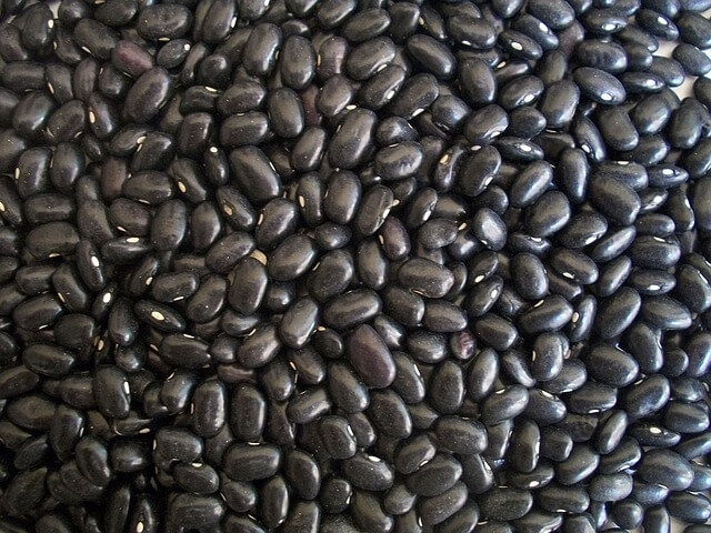 black beans make you poop
