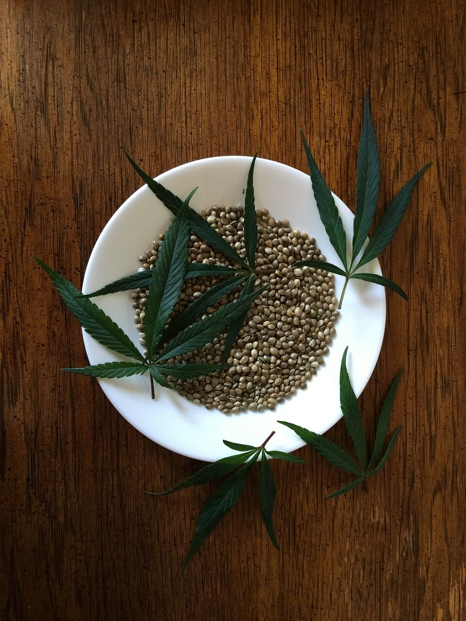 benefits of hemp seeds