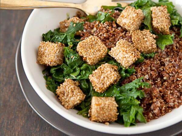 high protein vegetarian salad recipes